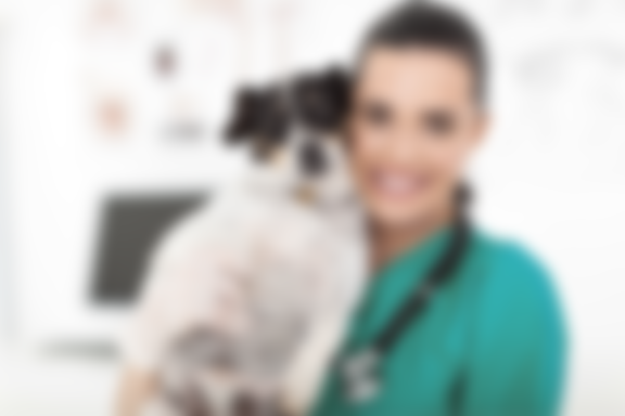 //www.genovavet.com/wp-content/uploads/2016/12/wellness-care.png